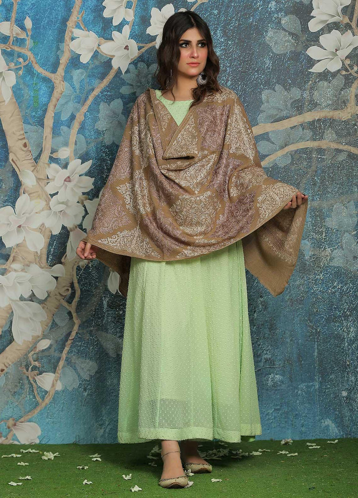 Sanaulla Exclusive Range  Pashmina  Shawl SU21PP AKP-23 L Brown-6 - Pure Pashmina Shawls