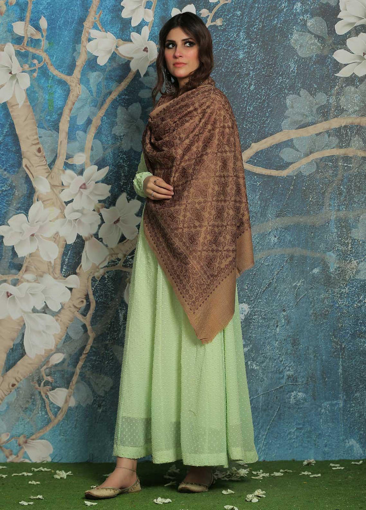 Sanaulla Exclusive Range  Pashmina  Shawl SU21PP AKP-23 L Brown-15 - Pure Pashmina Shawls