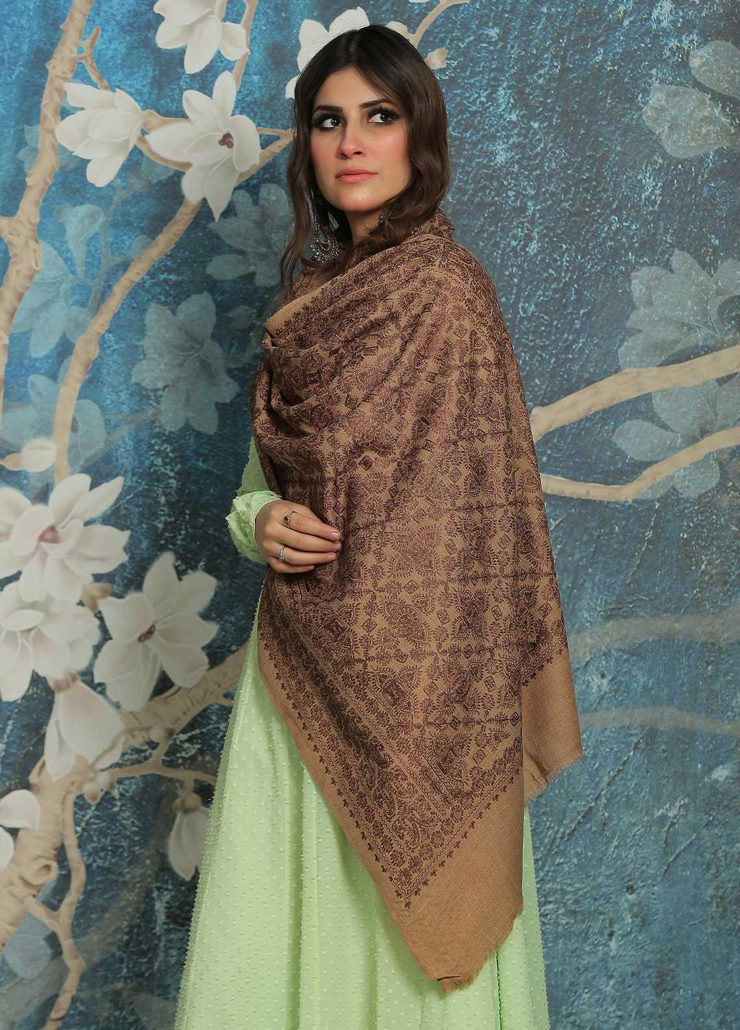 Sanaulla Exclusive Range  Pashmina  Shawl SU21PP AKP-23 L Brown-15 - Pure Pashmina Shawls