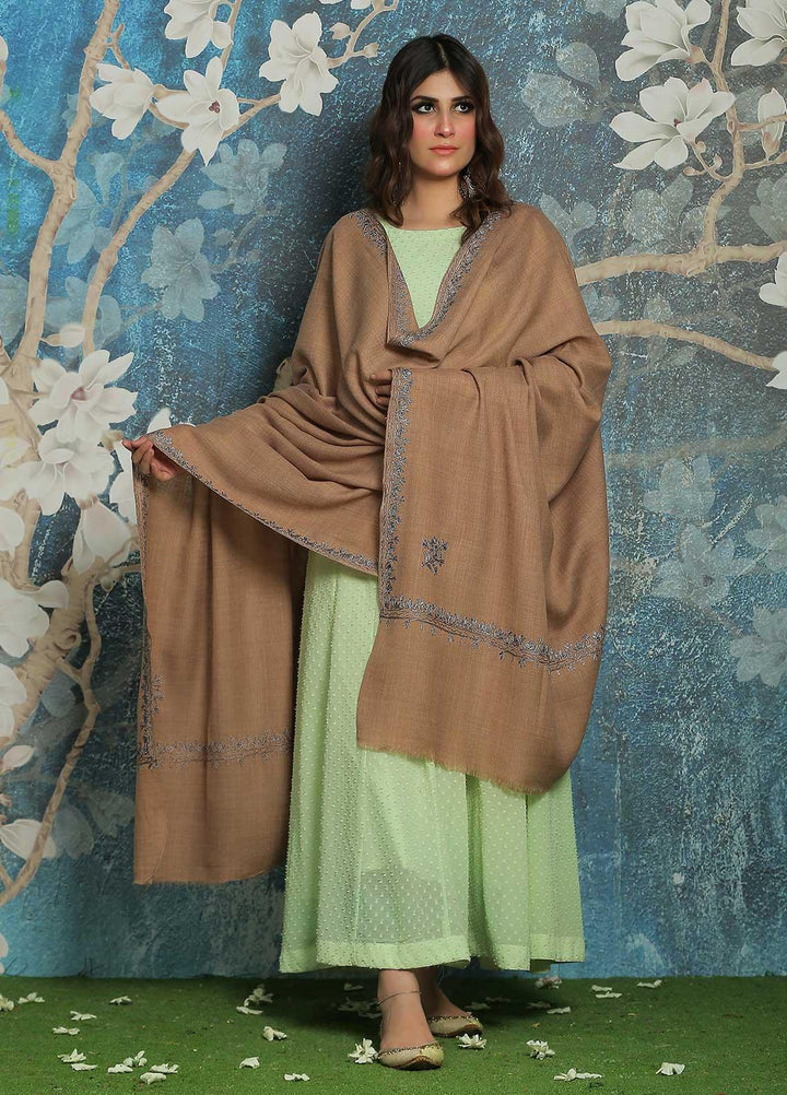 Sanaulla Exclusive Range  Pashmina  Shawl SU21PP AKP-39 Brown-3 - Pure Pashmina Shawls