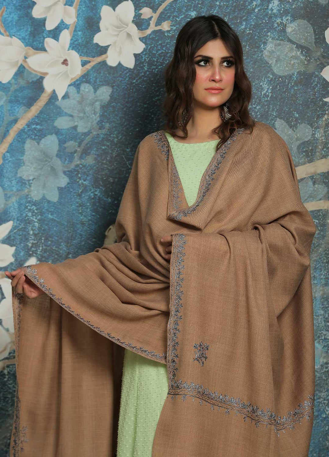 Sanaulla Exclusive Range  Pashmina  Shawl SU21PP AKP-39 Brown-3 - Pure Pashmina Shawls