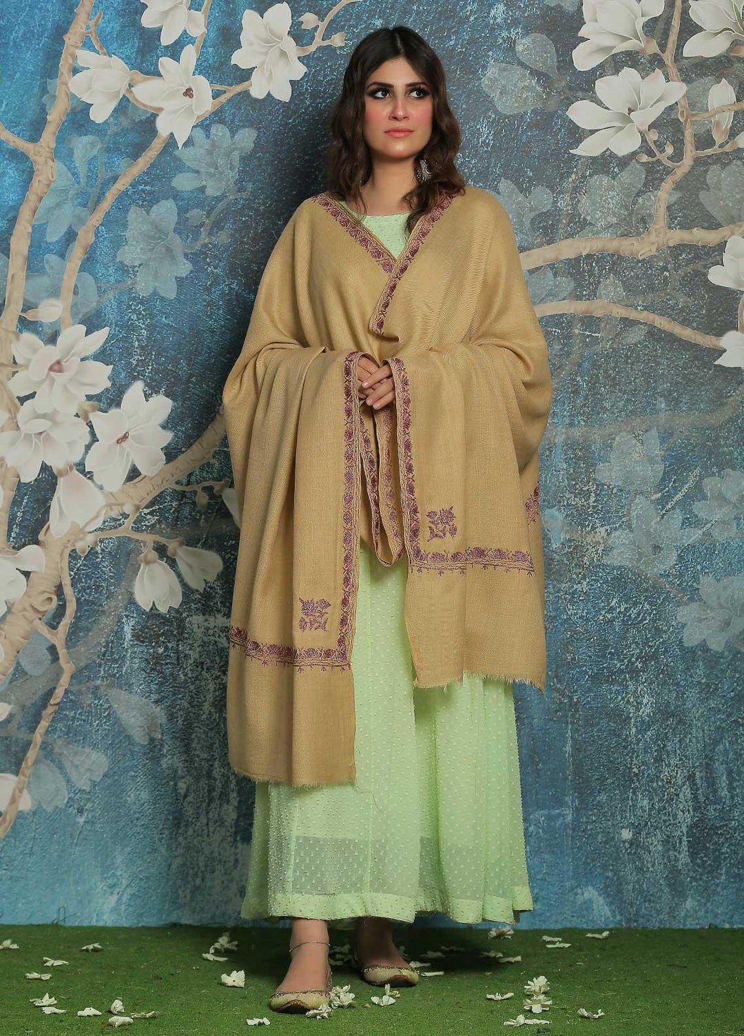 Sanaulla Exclusive Range  Pashmina  Shawl SU21PP AKP-39 Fawn - Pure Pashmina Shawls