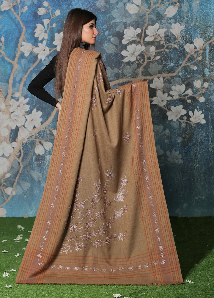 Sanaulla Exclusive Range  Pashmina  Shawl SU21PP OD-19 - Pure Pashmina Shawls