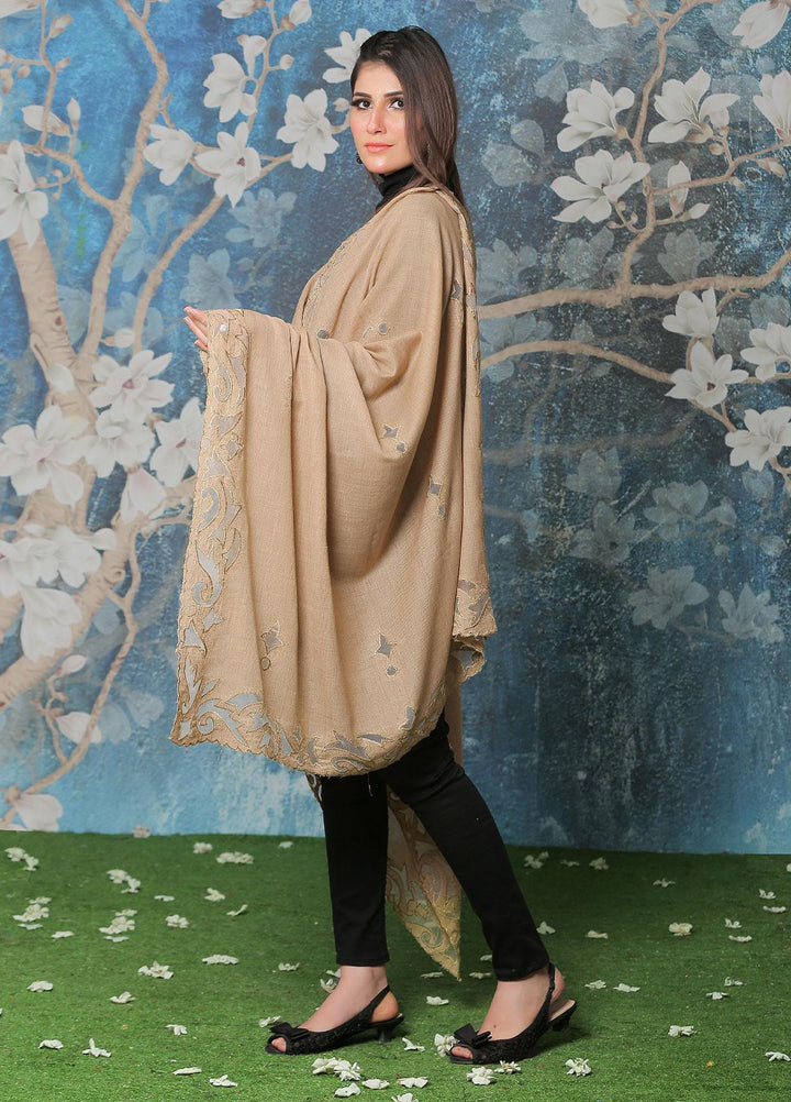 Sanaulla Exclusive Range Pashmina Shawl SU21PP  MIR-828-Mix Pure Pashmina Shawls