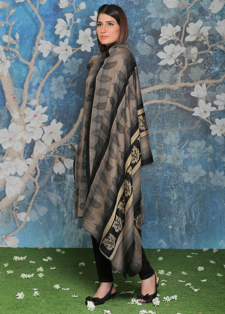 Sanaulla Exclusive Range Pashmina Shawl SU21PP AKP-47 Grey-1 Pure Pashmina Shawls