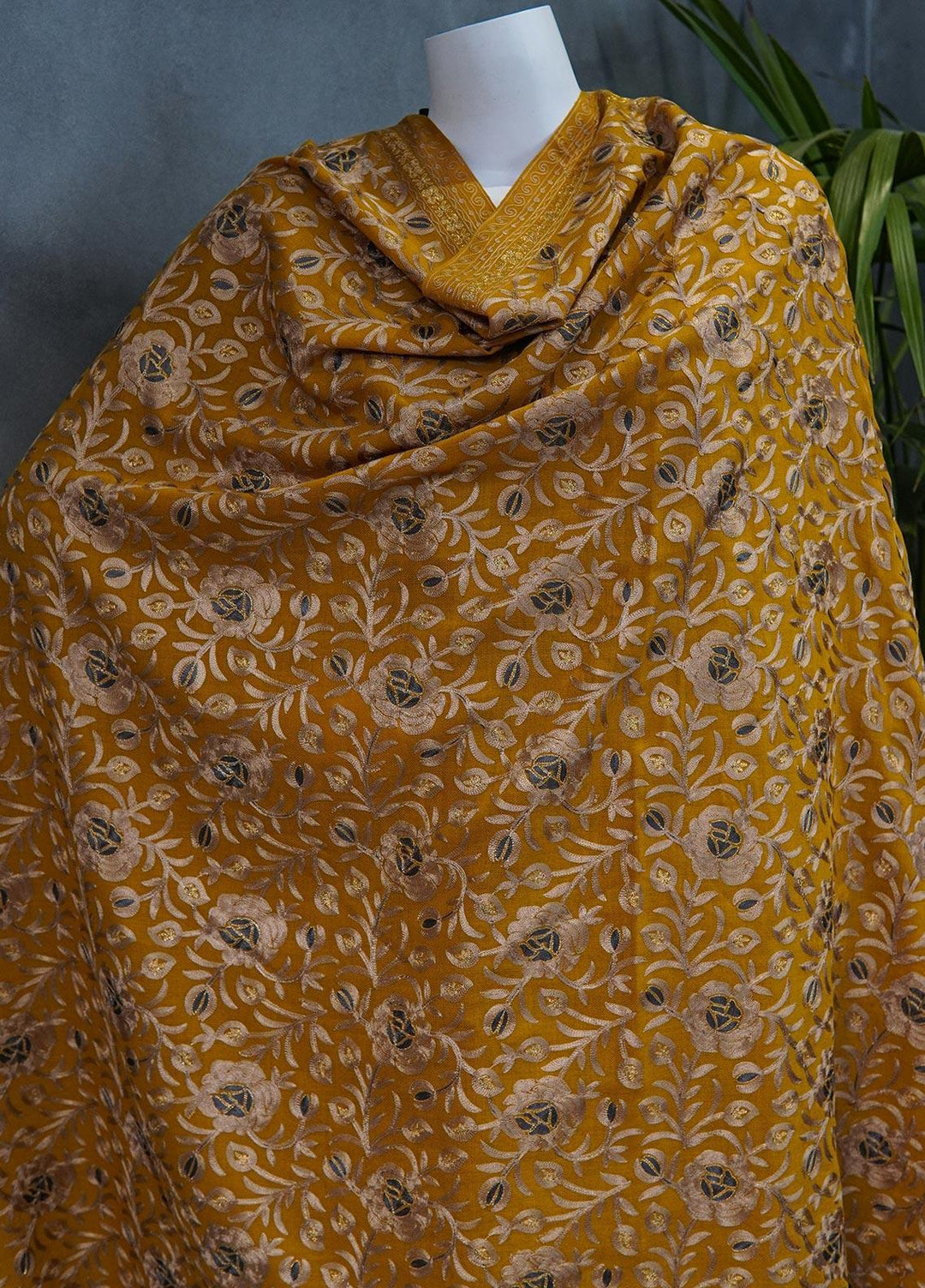 Sanaulla Exclusive Range  Pashmina  Shawls MAMA-36 Mustard-1 - Pashmina Shawls