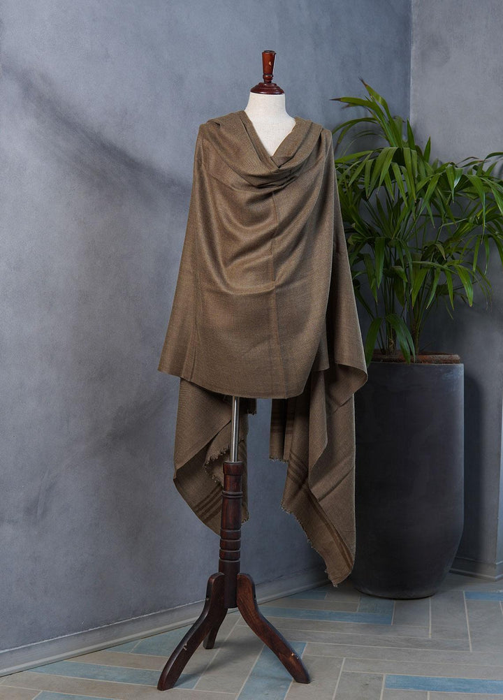 Sanaulla Exclusive Range  Pashmina  Shawls SU22PS-1 M-Shawls Mir-14 Green - Pashmina Shawls