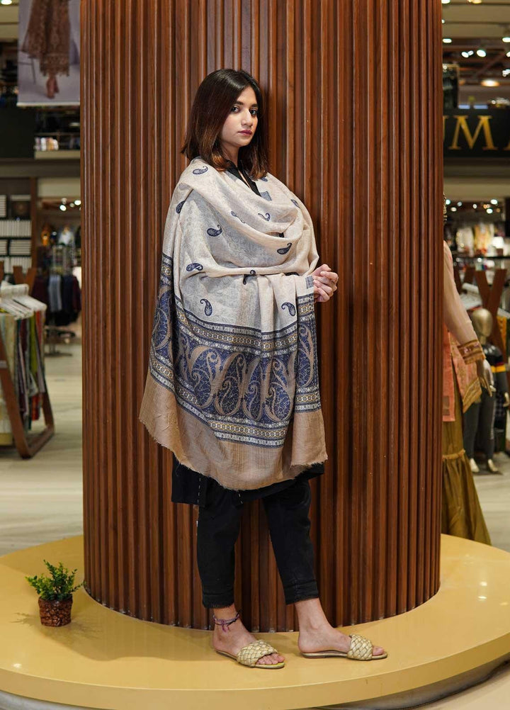 Sanaulla Exclusive Range  Pashmina  Shawls MAMA-07 Brown-1 - Pashmina Shawls