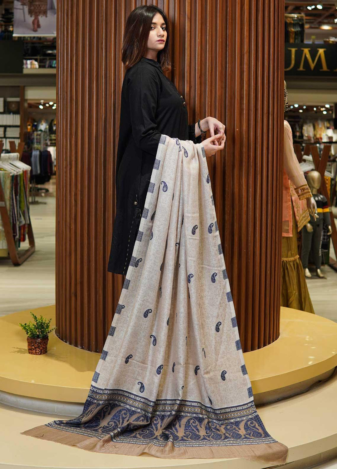 Sanaulla Exclusive Range  Pashmina  Shawls MAMA-07 Brown-1 - Pashmina Shawls