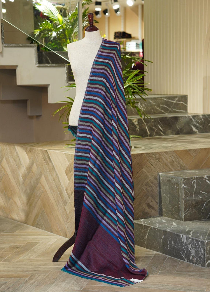 Sanaulla Exclusive Range  Pashmina  Shawls 145677-Blue - Pashmina Shawls