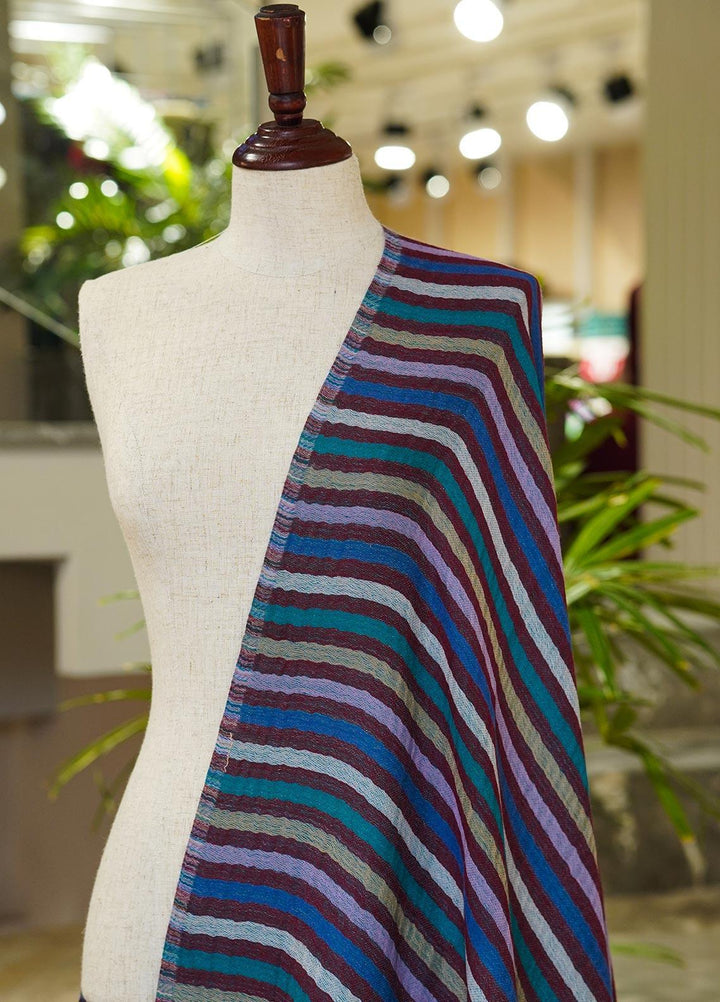 Sanaulla Exclusive Range  Pashmina  Shawls 145677-Blue - Pashmina Shawls