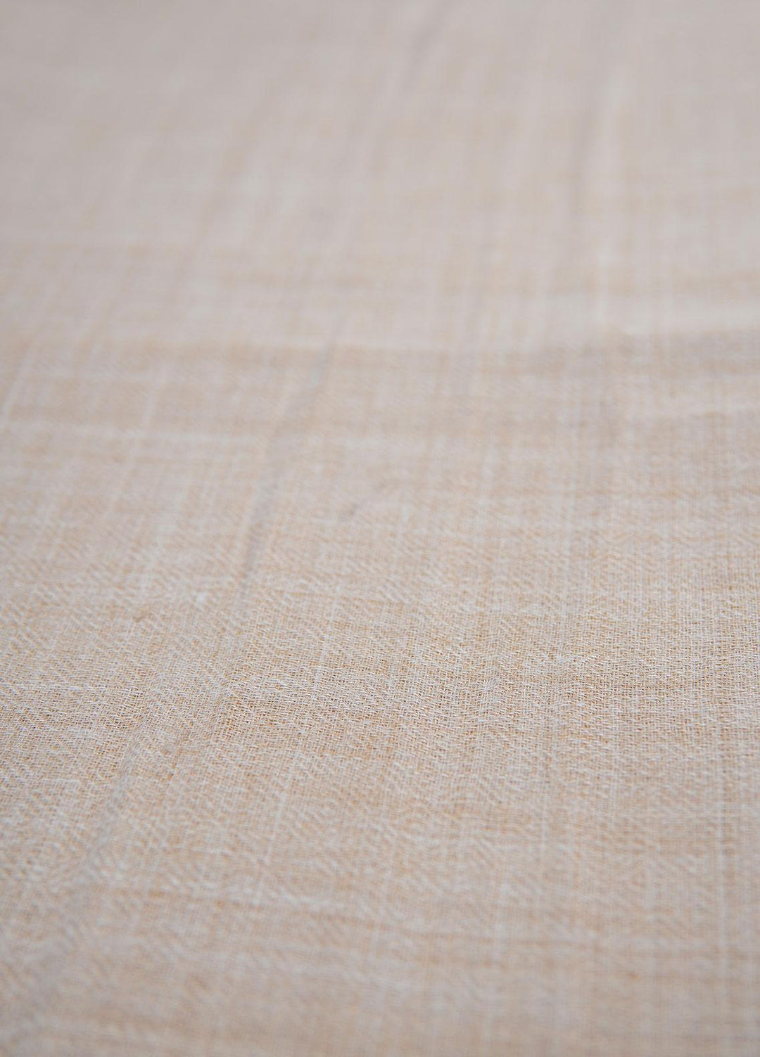 Sanaulla Exclusive Range  Pashmina  Shawls SU22PS-1 M-Shawls MIR-14 Fawn - Pashmina Shawls