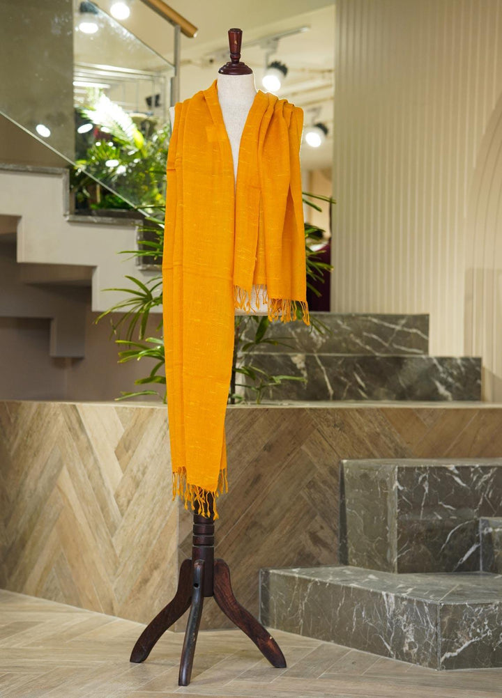 Sanaulla Exclusive Range  Pashmina  Shawls 169236-Yellow - Pashmina Shawls