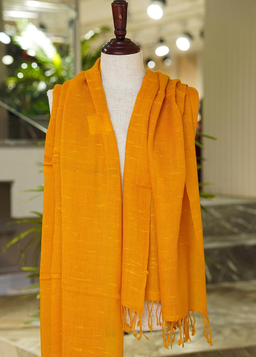 Sanaulla Exclusive Range  Pashmina  Shawls 169236-Yellow - Pashmina Shawls