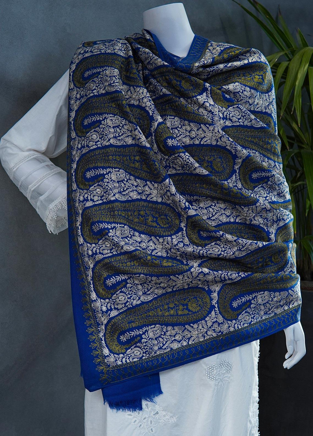 Sanaulla Exclusive Range  Pashmina  Shawls MAMA-38 Royal - Pashmina Shawls