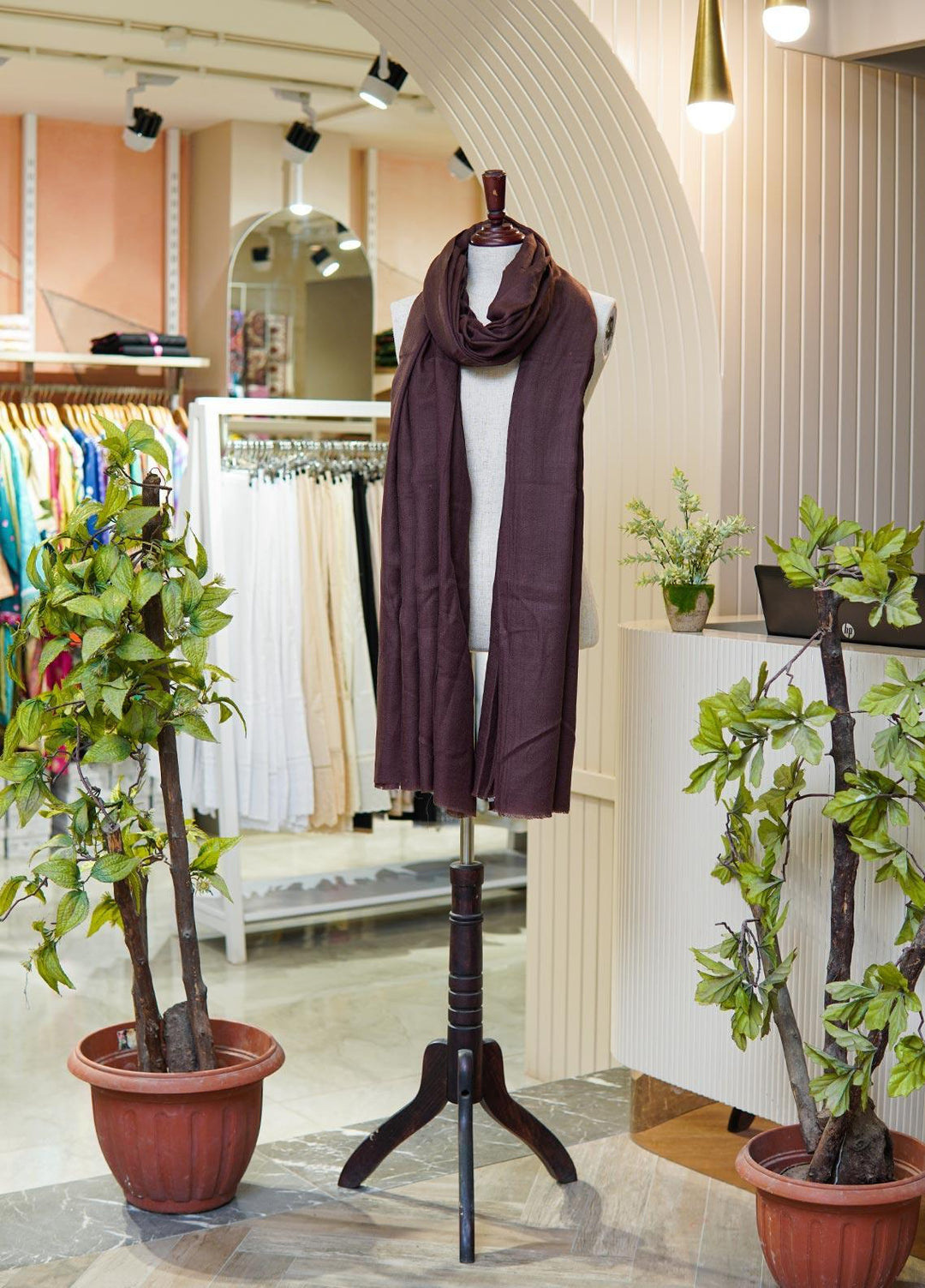 Sanaulla Exclusive Range  Pashmina  Shawls MIR-16 Dark Brown - Pashmina Shawls