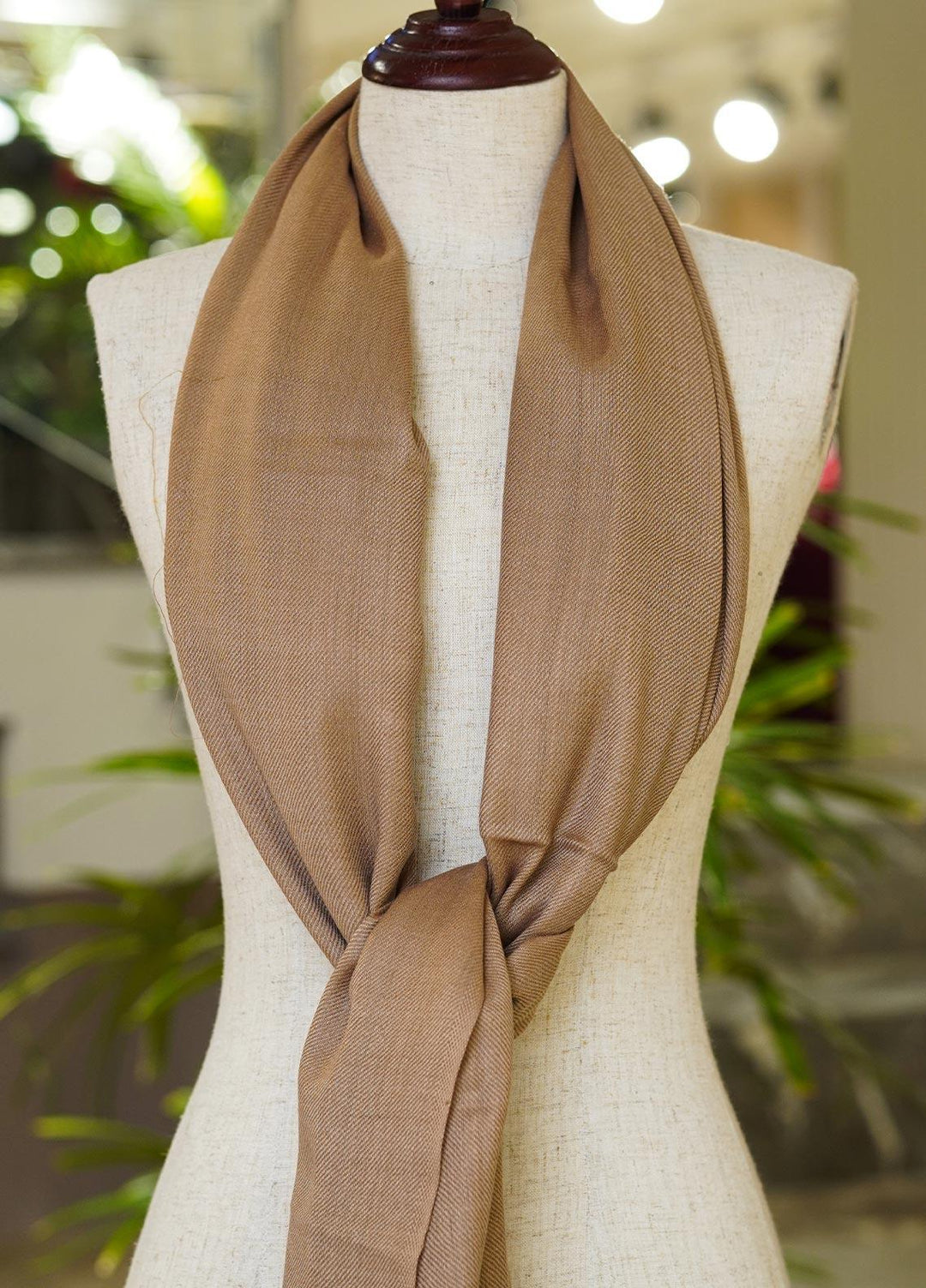 Sanaulla Exclusive Range  Pashmina  Shawls MIR-54 Brown2 - Pashmina Shawls