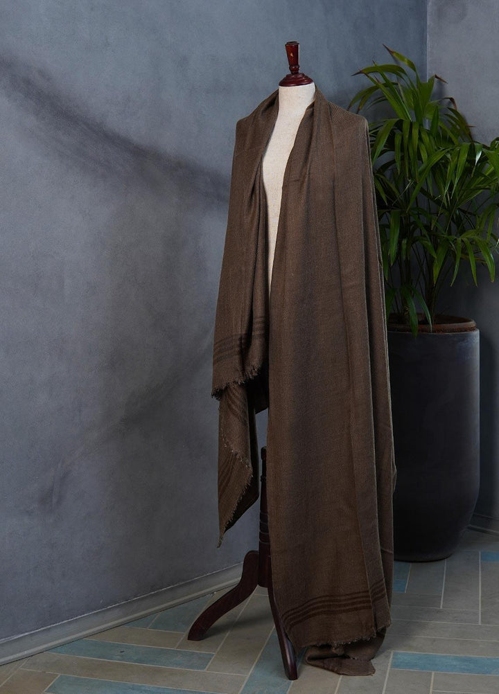 Sanaulla Exclusive Range  Pashmina  Shawls SU22PS-3 Mir-14 Dark Brown - Pashmina Shawls