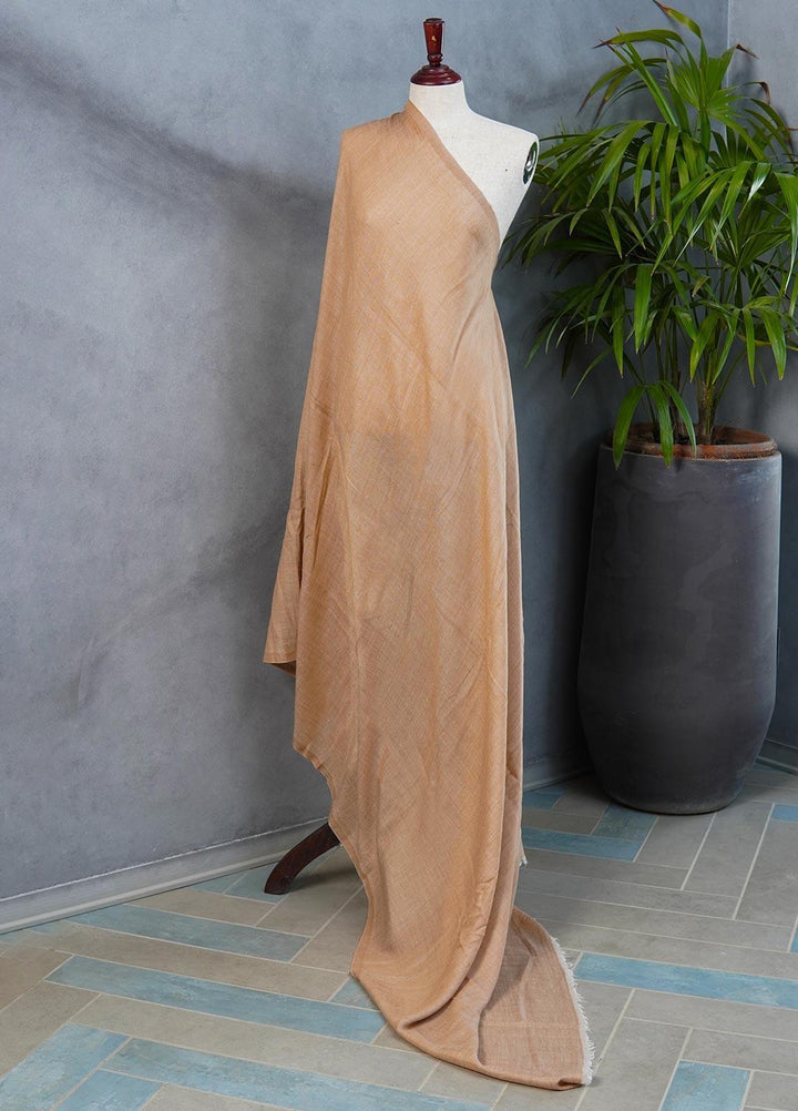 Sanaulla Exclusive Range  Pashmina  Shawls SU22PS-3 D-16 L/Brown - Pashmina Shawls
