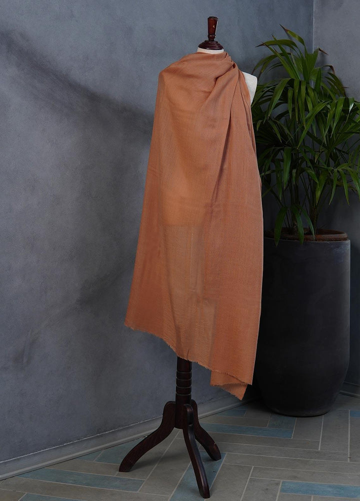 Sanaulla Exclusive Range  Pashmina  Shawls SU22PS-3 D-160 Fawn - Pashmina Shawls