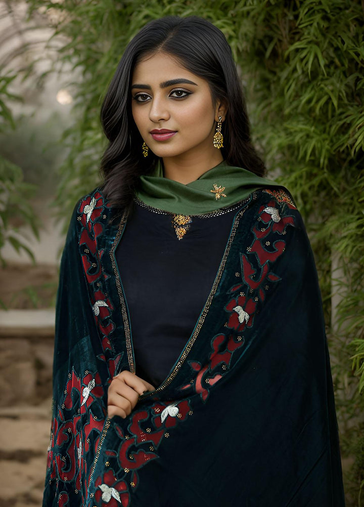 Sanaulla Exclusive Range  Pashmina  KPS 781 D-33 Green - Women Shawls