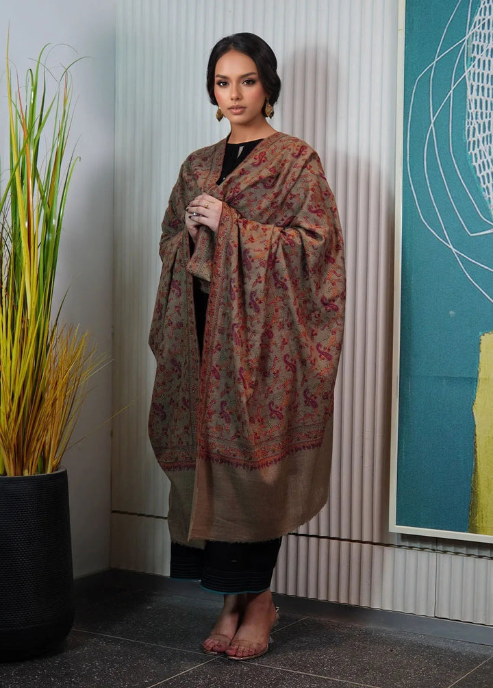 Sanaulla Exclusive Range Pashmina Shawl AKP-01 Brown - Winter Collection