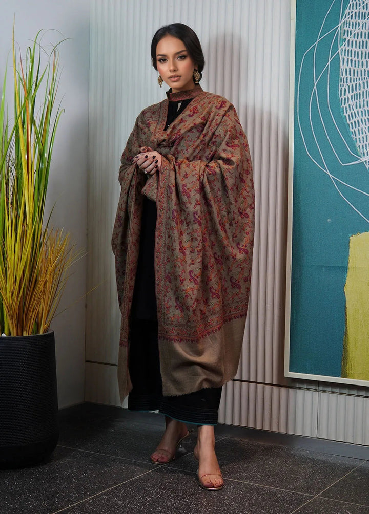 Sanaulla Exclusive Range Pashmina Shawl AKP-01 Brown - Winter Collection