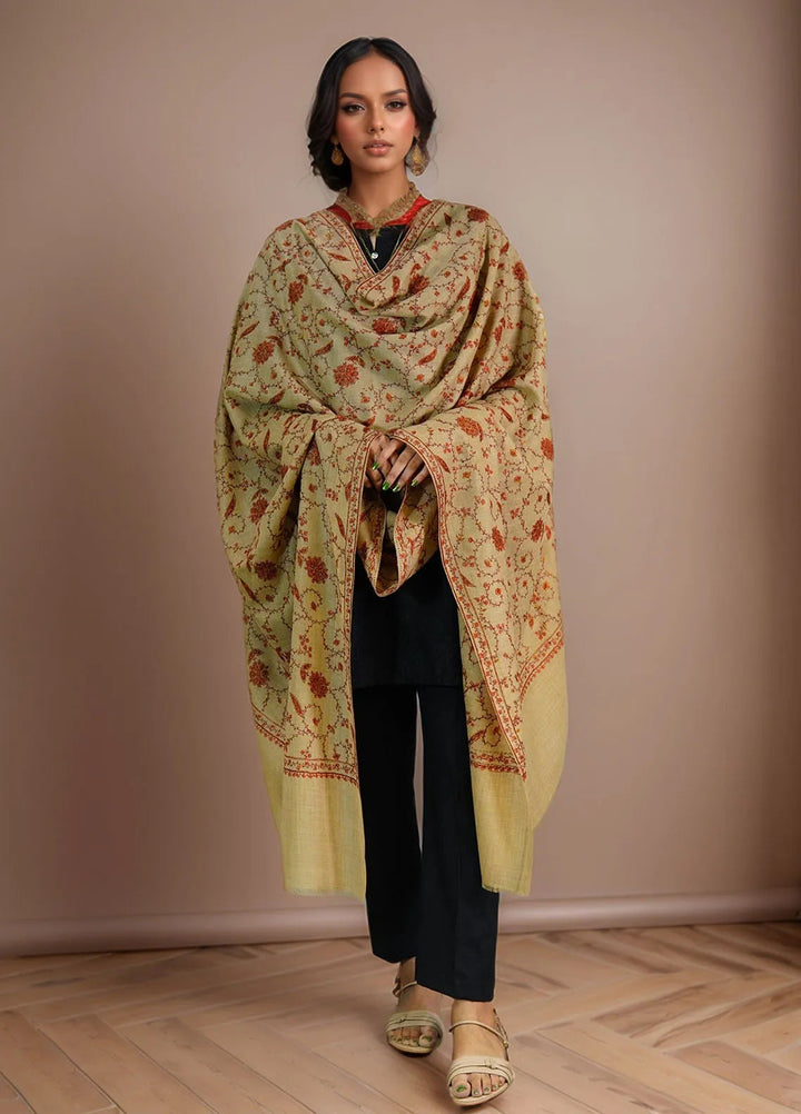 Sanaulla Exclusive Range Pashmina Shawl D-15 Brown - Winter Collection