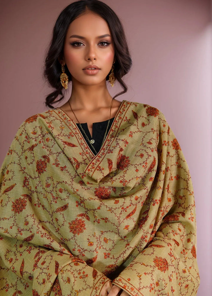 Sanaulla Exclusive Range Pashmina Shawl D-15 Brown - Winter Collection