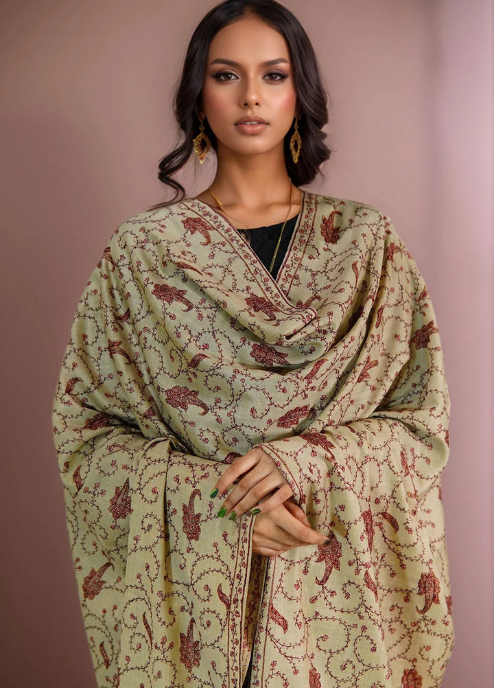 Sanaulla Exclusive Range Pashmina Shawl D-15 Light brown 1 - Winter Collection