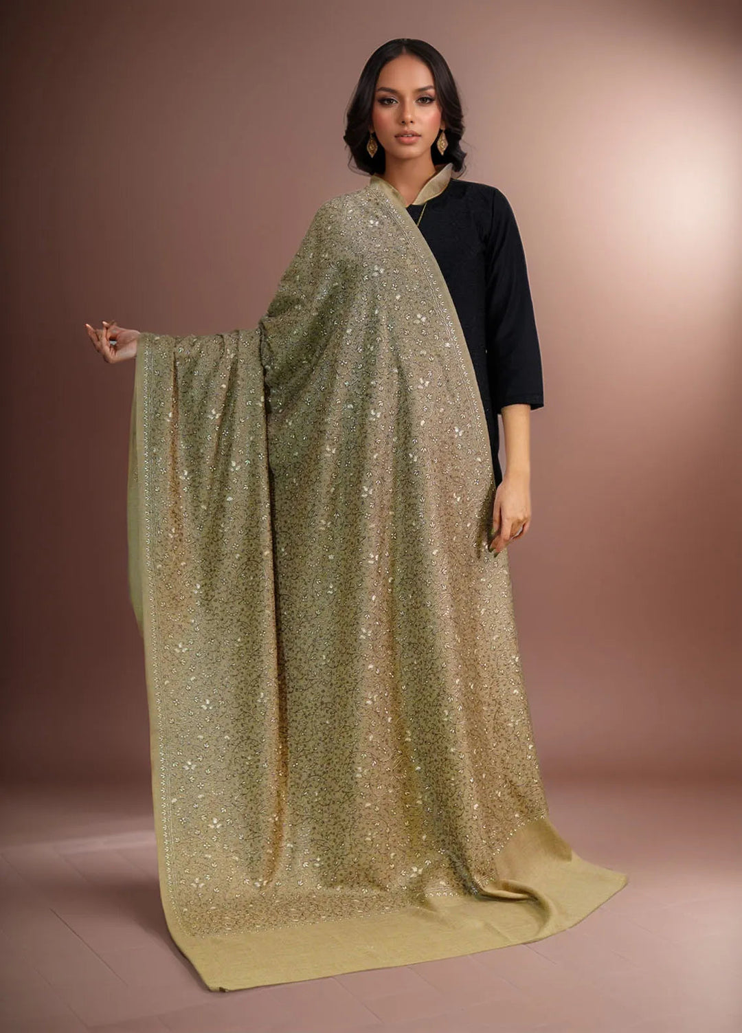 Sanaulla Exclusive Range Pashmina Shawl D-16 Brown - Winter Collection