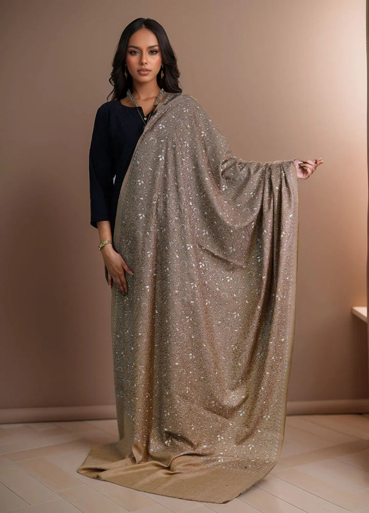 Sanaulla Exclusive Range Pashmina Shawl D-16 Dark Brown - Winter Collection