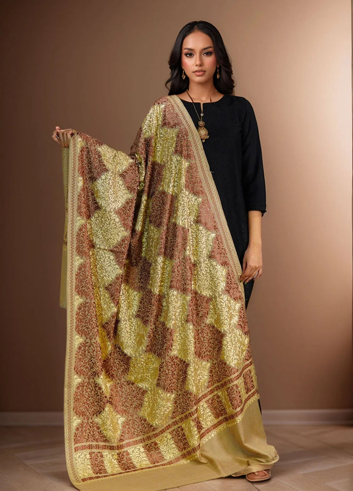 Sanaulla Exclusive Range Pashmina Shawl D-26 Brownn - Winter Collection