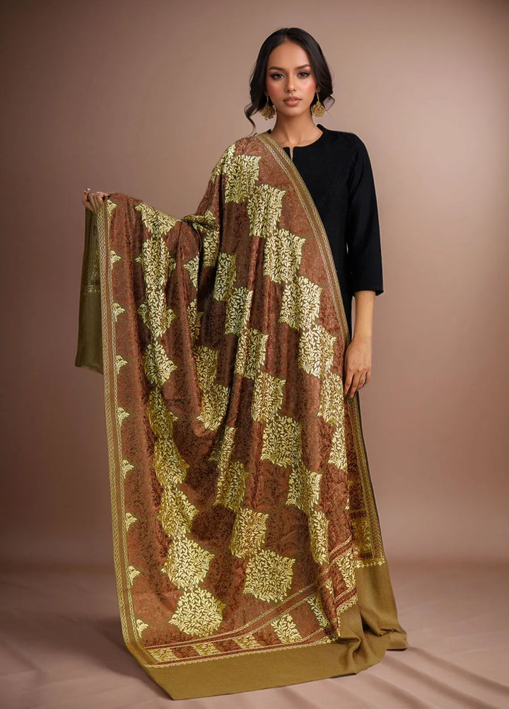 Sanaulla Exclusive Range Pashmina Shawl D-26 Dark Brown - Winter Collection