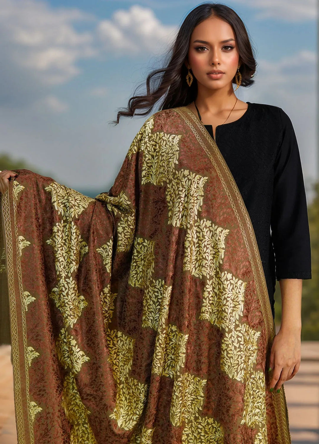 Sanaulla Exclusive Range Pashmina Shawl D-26 Dark Brown - Winter Collection