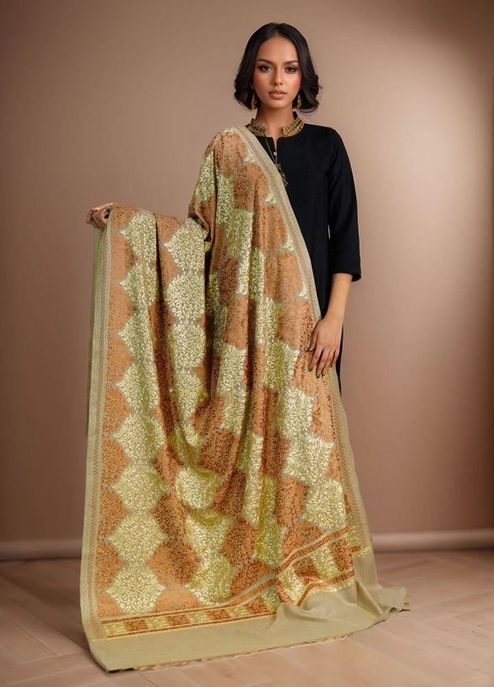 Sanaulla Exclusive Range Pashmina Shawl D-26 Light Brown - Winter Collection