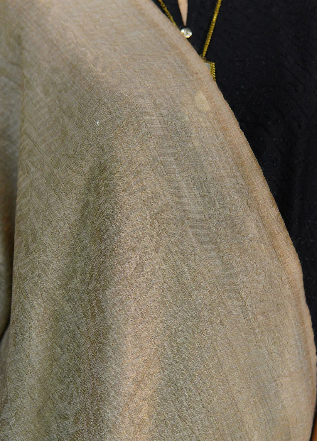 Sanaulla Exclusive Range Pashmina Shawl D-28 Beige - Winter Collection