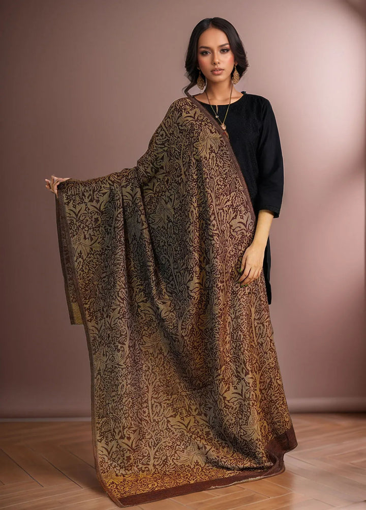 Sanaulla Exclusive Range Pashmina Shawl D-28 Dark Brown - Winter Collection