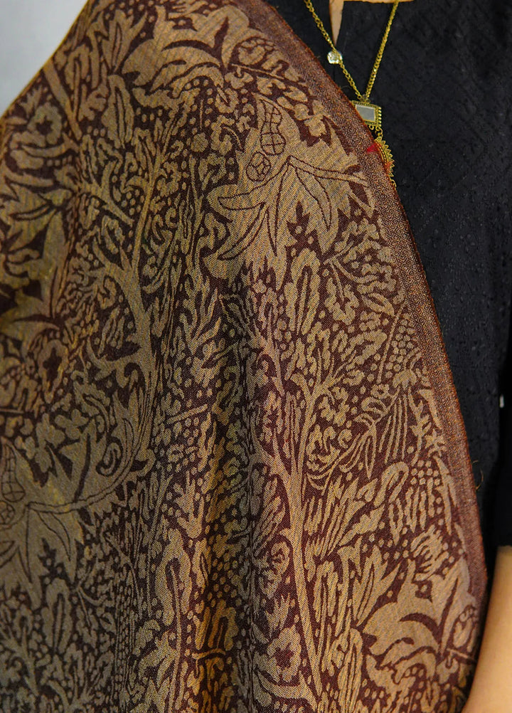 Sanaulla Exclusive Range Pashmina Shawl D-28 Dark Brown - Winter Collection