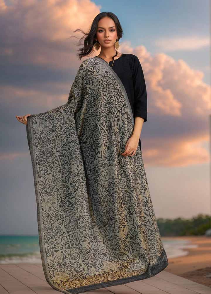 Sanaulla Exclusive Range Pashmina Shawl D-28 Dark Grey - Winter Collection