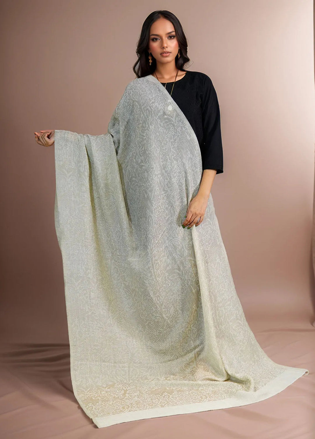 Sanaulla Exclusive Range Pashmina Shawl D-28 Light Grey 1 - Winter Collection