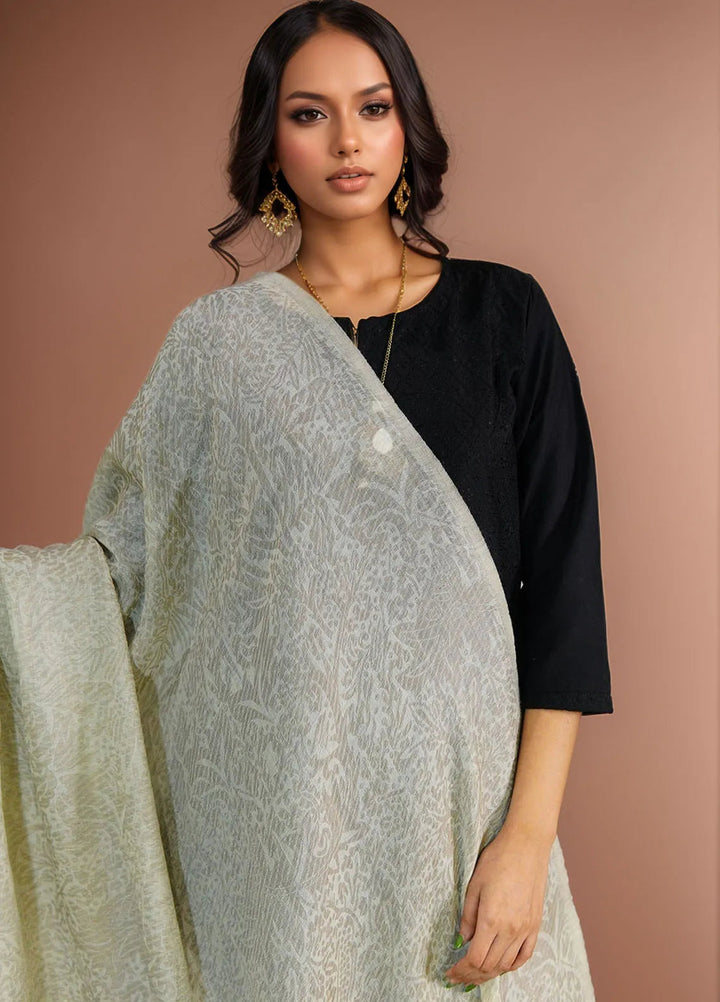 Sanaulla Exclusive Range Pashmina Shawl D-28 Light Grey 1 - Winter Collection