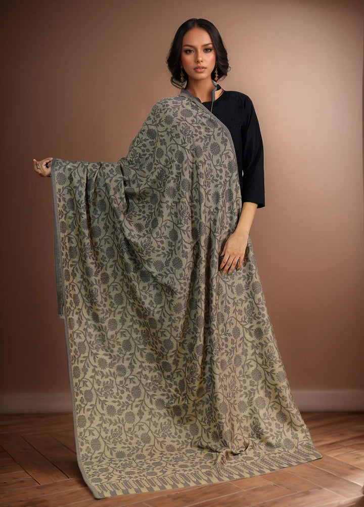 Sanaulla Exclusive Range Pashmina Shawl D-38 Brown - Winter Collection