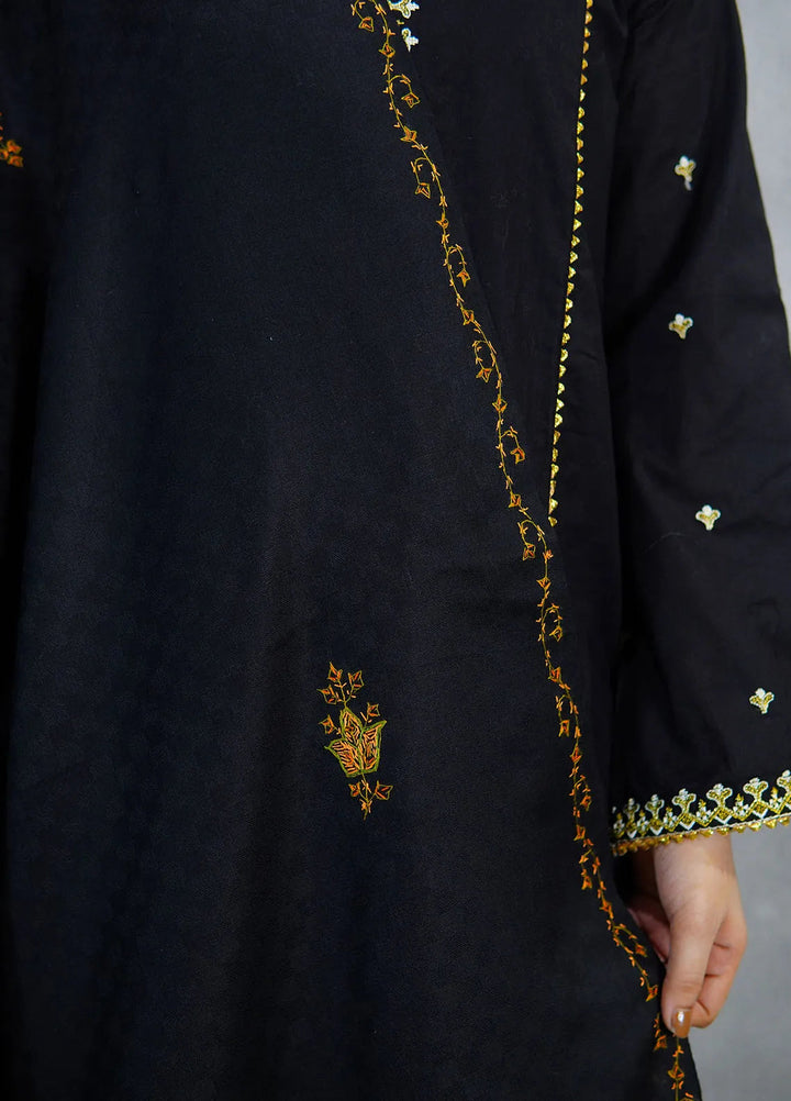 Sanaulla Exclusive Range Pashmina Shawl KPS D-10 Black 2 - Winter Collection