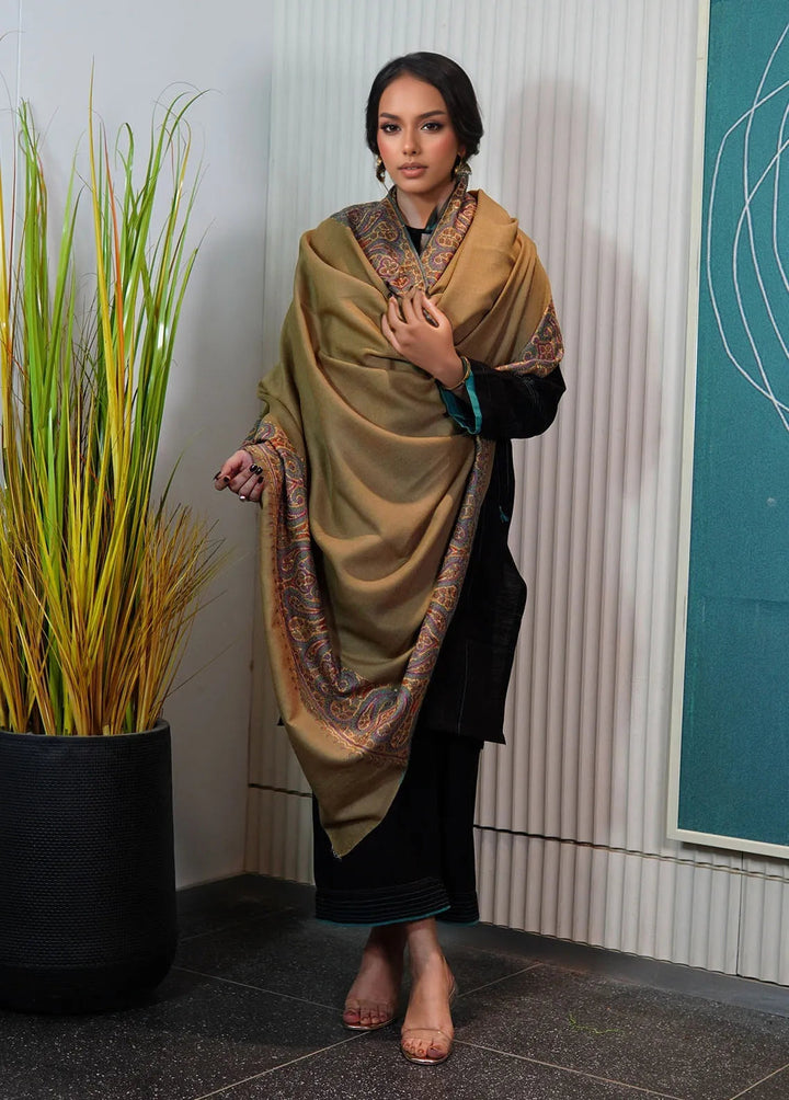 Sanaulla Exclusive Range Pashmina Shawl KPS D-129 Mehandi - Winter Collection