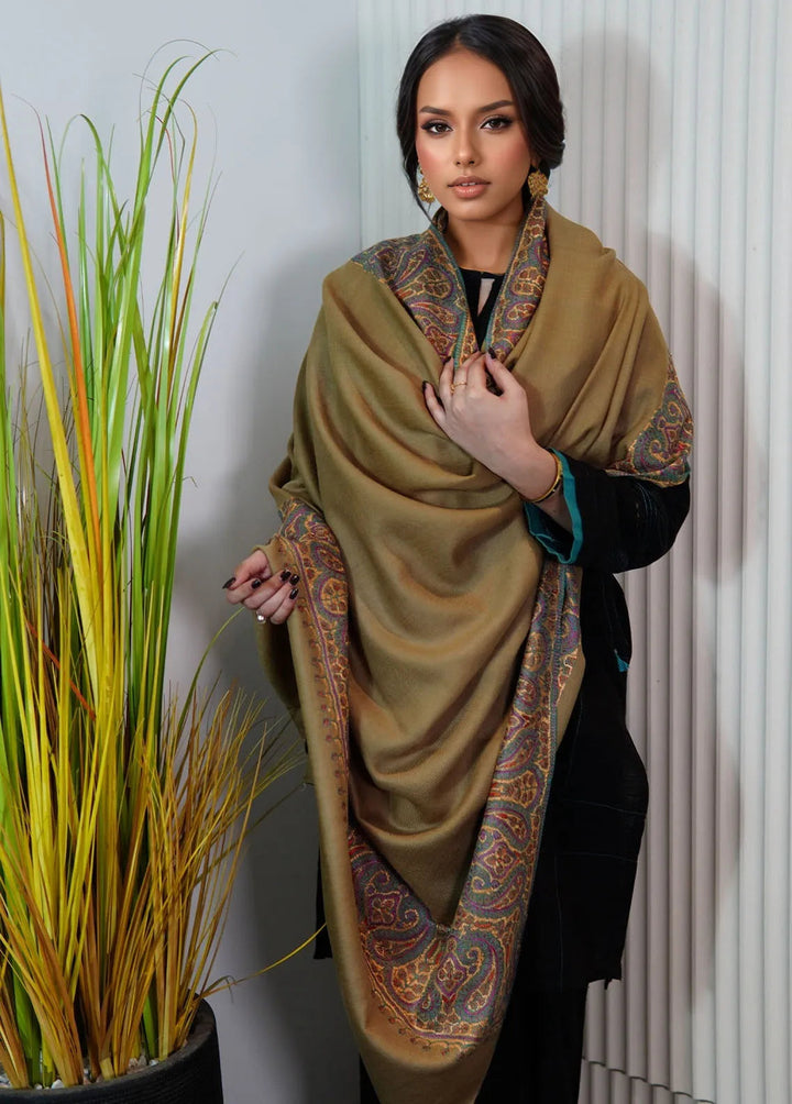 Sanaulla Exclusive Range Pashmina Shawl KPS D-129 Mehandi - Winter Collection
