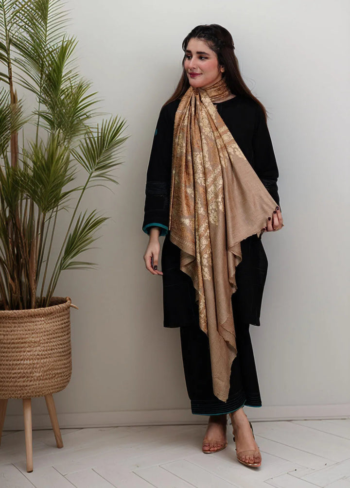 Sanaulla Exclusive Range Pashmina Shawl KPS D-14 Brown - Winter Collection