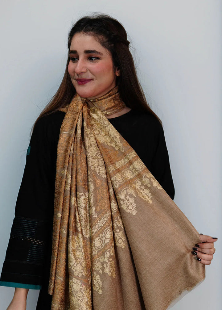 Sanaulla Exclusive Range Pashmina Shawl KPS D-14 Brown - Winter Collection
