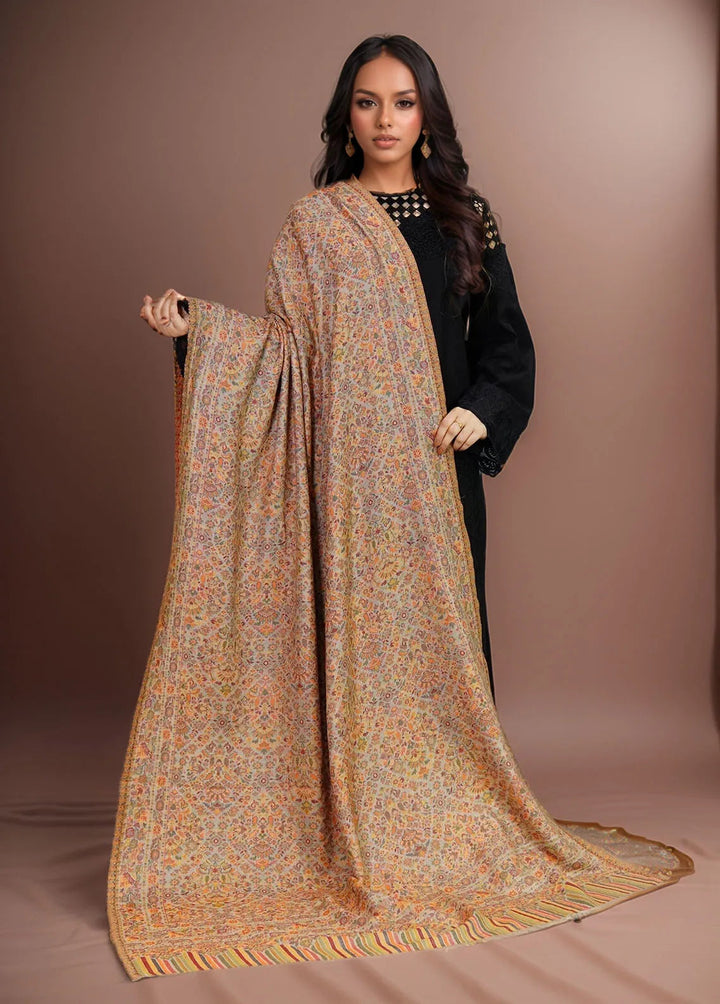 Sanaulla Exclusive Range Pashmina Shawl KPS D-18 Multi 10 - Winter Collection
