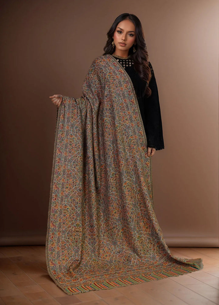 Sanaulla Exclusive Range Pashmina Shawl KPS D-18 Multi 21 - Winter Collection
